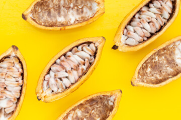 Cocoa fruit on yellow background.