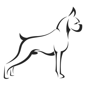 A dog (boxer) head design isolated on transparent background. Pet. Animals.