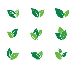 Set of green leaf  vector icons
