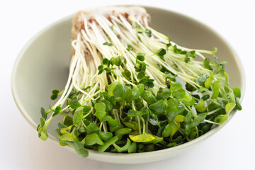Kaiware (daikon radish sprouts) on white background.