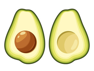 Two halves of avocado on a white background. Vector illustration.
