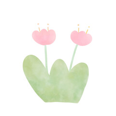 pink  flowers with green grass watercolor painting 