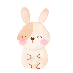 easter bunny isolated on white