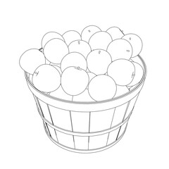 Outline of a pile of apples in a bucket from black lines isolated on a white background. Isometric view. 3D. Vector illustration.