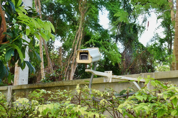 CCTV w krzakach w lesie - obrazy, fototapety, plakaty
