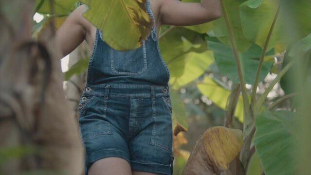 Asian girl careful walking through the jungle and exploring the surroundings.