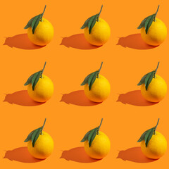 Seamless pattern with fresh orange on orange background.