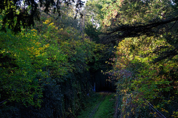 Railway track of the Petite Ceinture Paris' Abandoned Railway in Montsouris park. 
