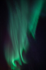 blue and green aurora borealis in the starry night sky