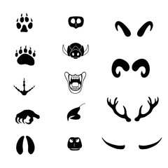 Collection оf different wild animals' horns,  footprints, beaks, noses