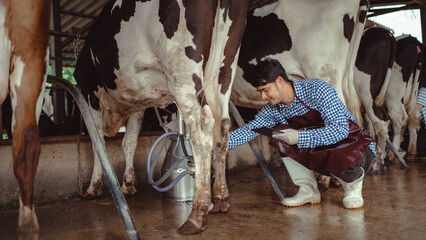 male farmer using tablet for checking on his livestock and quality of milk in the dairy farm...