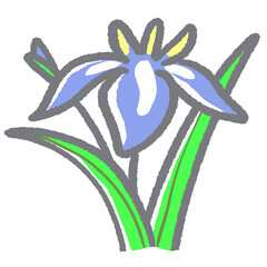 紫色が美しいアヤメのイラスト