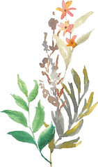 floral bouquet watercolor	