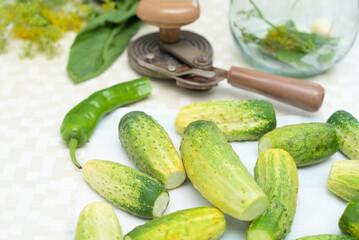 Cucumbers with green hot pepper and herbs on the table prepared for conservation. Selective focus. Harvest fall preparations 