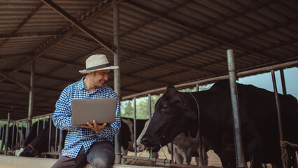  male farmer using laptop checking on his livestock and quality of milk in the dairy farm .Agriculture industry, farming and animal husbandry concept ,Cow on dairy farm eating hay,Cowshed. © tuiphotoengineer