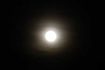 Moon - Moon Light