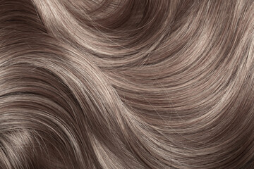 Blond hair close-up as a background. Women's long light brown hair. Beautifully styled wavy shiny curls. Hair coloring. Hairdressing procedures, extension.