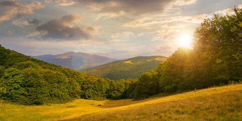 alpine meadows at sunset in summer. beech forest on the hill. mountain ridge in the distance beneath a blue sky with fluffy clouds in evening light