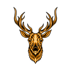 head of a deer head