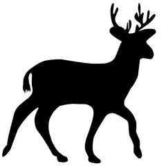 deer silhouette