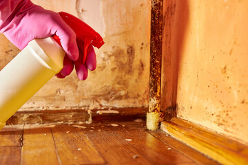 Chlorine is sprayed on a wall affected by mold and fungus. Fight against moisture, mold and fungus.