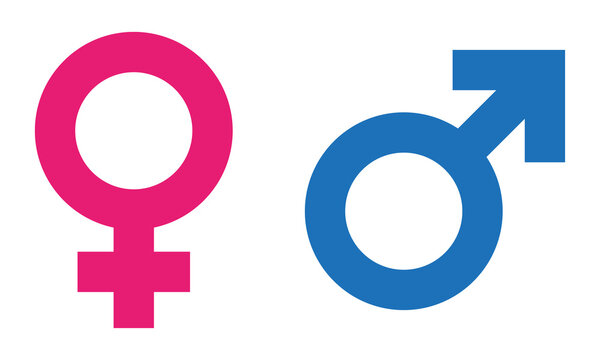 Male and female symbols, signs, icons transparent. Pink and blue male female icon.