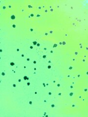 Abstract degrade green gradient background illustration 