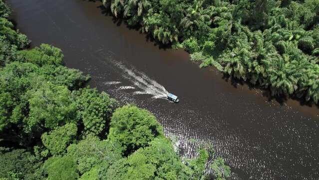 Motorboat with roof cruising on sunlit jungle river in Costa Rica.