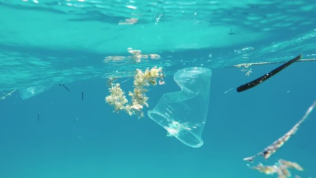 Underwater pollution: plastic glass with fish in background