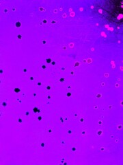 Abstract degrade purple water drops background graphic illustration 