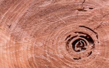 Fototapeta na wymiar A cut tree trunk with a reddish hue. Natural rough surface background.