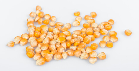  corn kernels : Close-up of organic yellow corn seed, Dried corn kernels on white background, top view