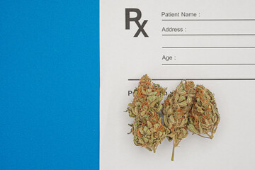 Dry marijuana buds flower over the medical prescription sheet on a blue background