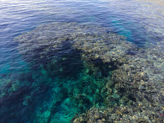 Fototapeta premium Red sea