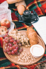 autumn picnic in nature with grapes