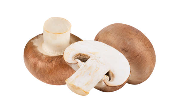 Fresh champignon mushrooms isolated on transparent png