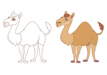 Children's coloring book with a funny camel character, black and white and colored version