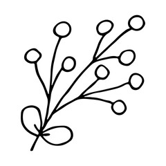 Hand drawn branch with berries and leaves. Christmas doodle. Winter clipart. Single design element