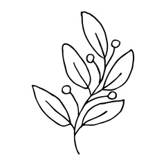 Hand drawn branch with berries and leaves. Christmas doodle. Winter clipart. Single design element