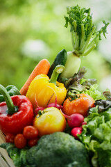 Vegetables and healthy fruits, Fresh vegetables. 