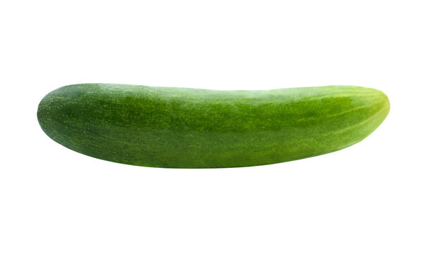 Cucumber And Slices Isolated Over Ransparene Png