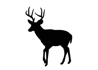 Naklejka na ściany i meble Silhouette Deer, Isolated on White Background. Deer Logo, Template, Illustration Vector.