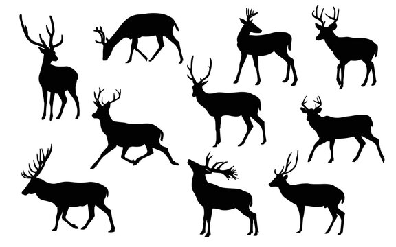 Collection of deer silhouettes - deer family. Deer in various poses. Male deer, vector illustration