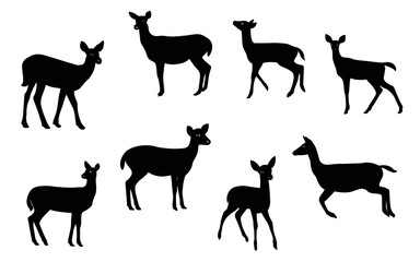 Collection of deer silhouettes - deer family. Deer in various poses. Female deer, vector illustration