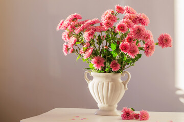 pink chrysanthemums in white vase on white interior