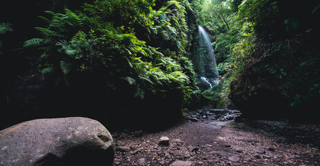 Waterfall, boulder and ferns at the end of the narrow canyon in La Palma Island © F.C.G.