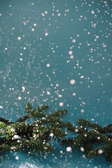 Fir branches on a blue background under falling snow.