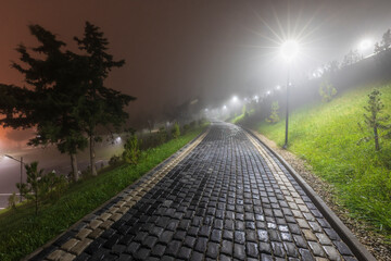 Fototapeta premium City park at night in fog