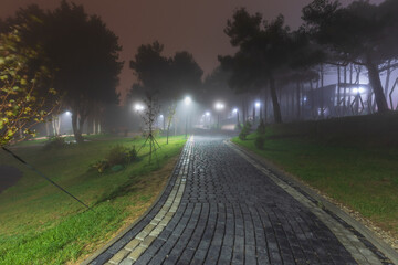 City park at night in fog