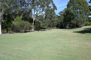 Obraz premium Australian Meadow 